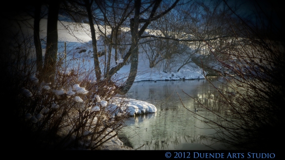 Winter Pond Vignette P1040884